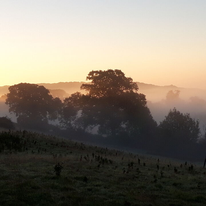 20180927_072025.jpg