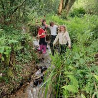 20 stream challenge.jpg