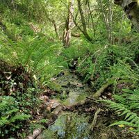 18a Stream Challenge.jpg