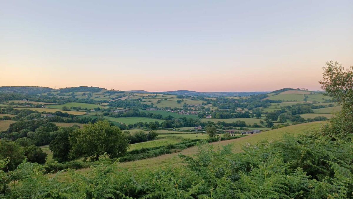 view over the marshwood vale.jpg