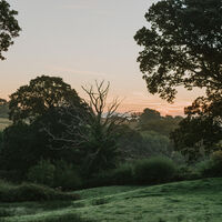 Sunrise from _Bramble_.jpg