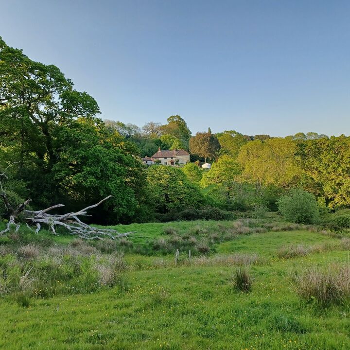 30 the farm house from a rewilded meadow.jpg