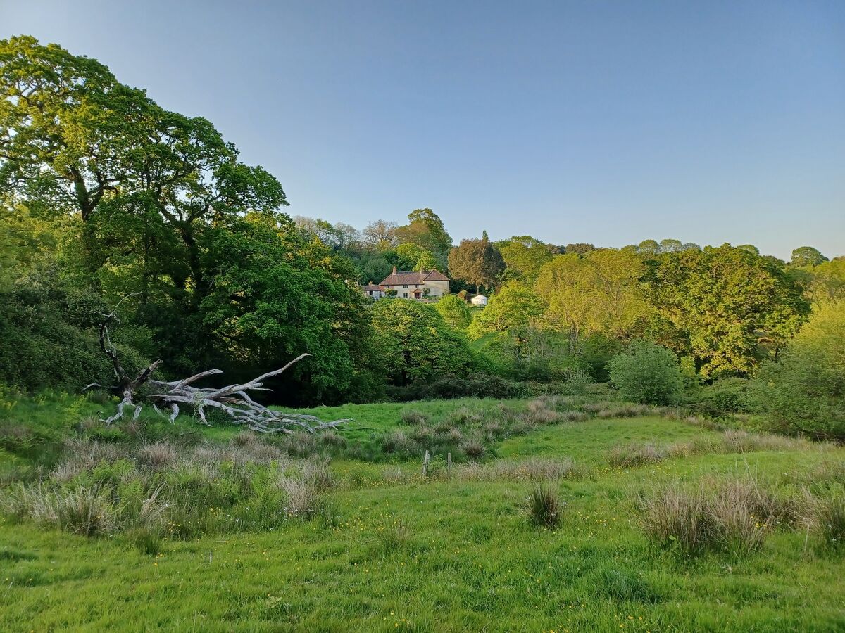 30 the farm house from a rewilded meadow.jpg