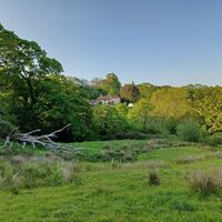 30 the farm house from a rewilded meadow.jpg
