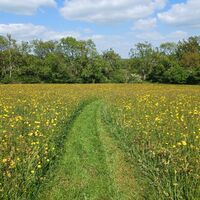 cut path through _Caluders,.jpg