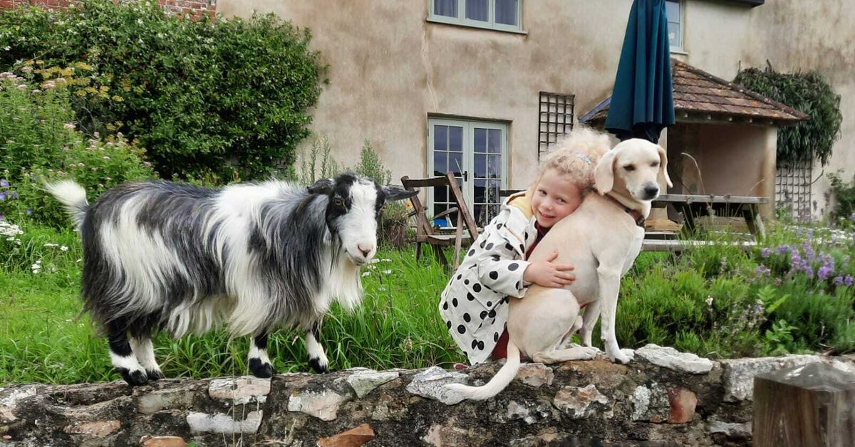 12 _Jo giving Peter a cuddle with bumble.jpg