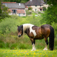 _Ray of Sunshine_.jpg