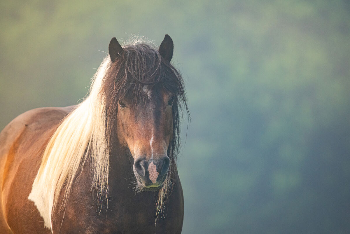 _Ray of Sunshine_ (2).jpg