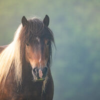 _Ray of Sunshine_ (2).jpg