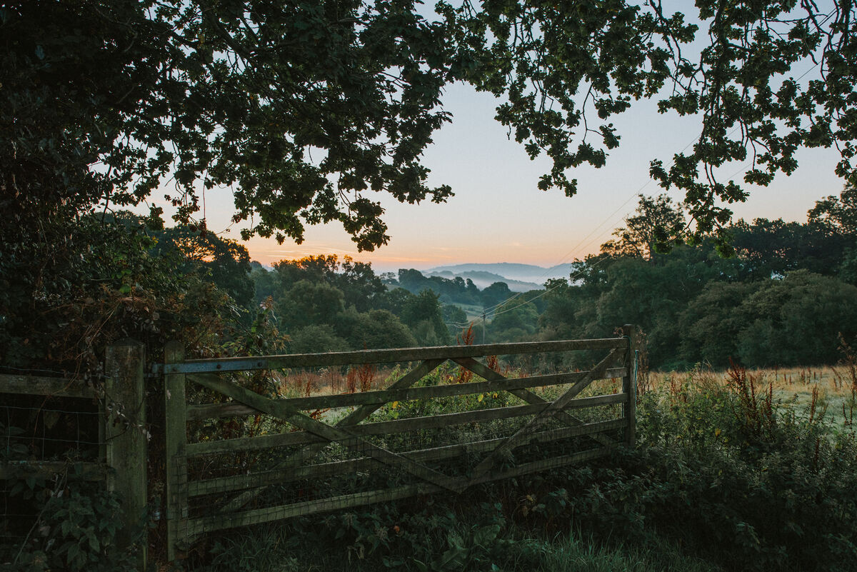 Hogchester HR-100.jpg