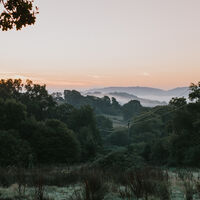 Hogchester HR-101.jpg