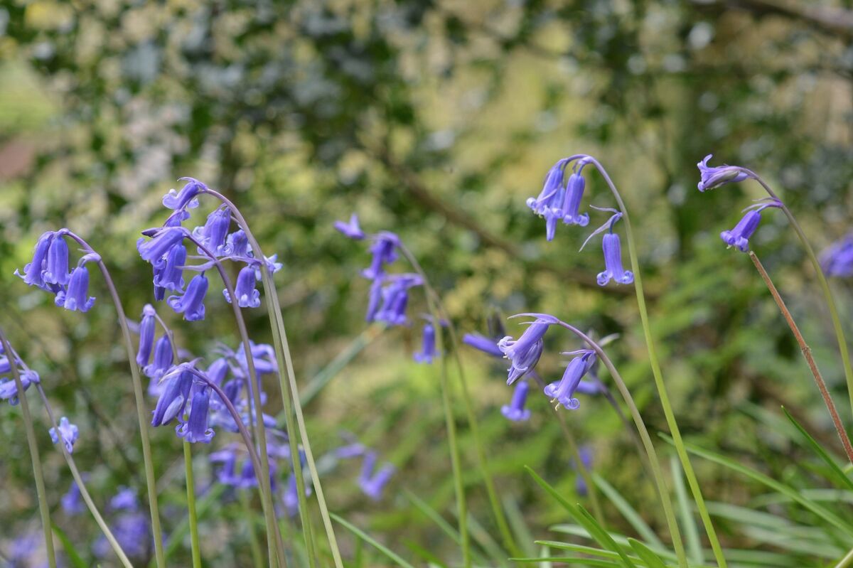 Screen Shot 2020-06-18 at 14.29.27.jpg