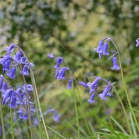 Screen Shot 2020-06-18 at 14.29.27.jpg