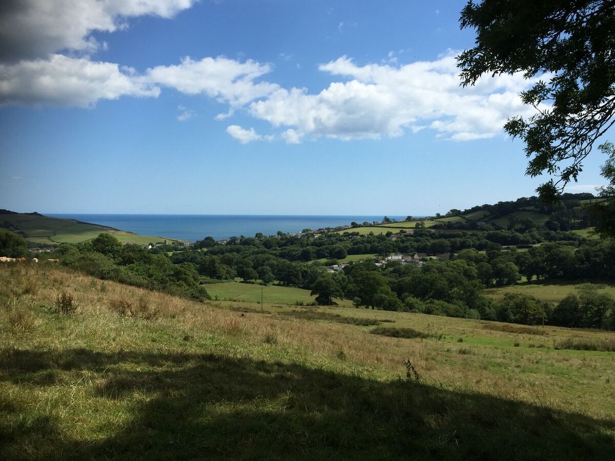 view down to Charmouth from _14 Acres_.JPG