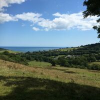 view down to Charmouth from _14 Acres_.JPG